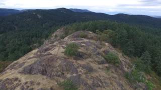 Lone Tree Hill