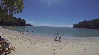 Manuel Antonio Costa Rica Part 15
