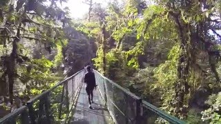 Cloud Rainforest Hanging Bridges Costa Rica...