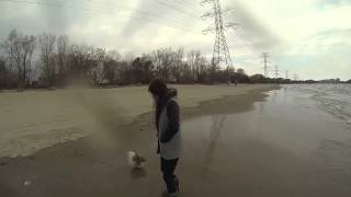 Surfing With Mel and Charlie