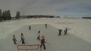 Hockey on the Harbour