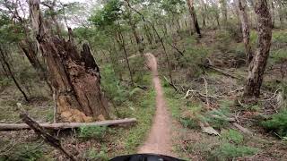 Lollipop Track - Colquhoun MTB Park