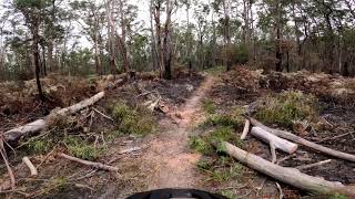 Log Track - Colquhoun MTB Track