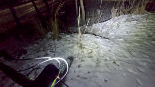 05 01 2021 Short trail