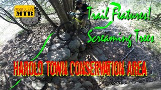 Tech Features - Screaming Trees, Harold Town...