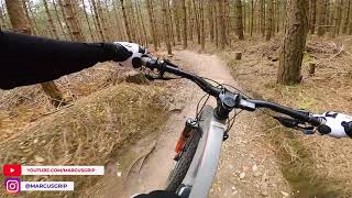 Red 20 - Swinley Forest 2021