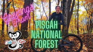 Dupont State Forest and Pisgah National Forest...