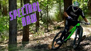 Spectral Raw | Jack Moir |
