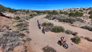 Skydio 2 And Fat Biking