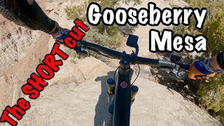 UT MTB ♦︎ The short edit for the...