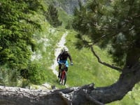All Mountain Fargno & Fonte del Lupo