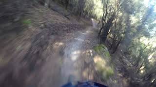 Badgers Run