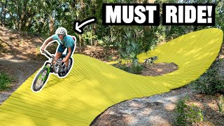 Are These The Best Trails In Florida? (Alafia...