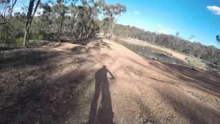 Bendigo MTB Trail at Spring Gully