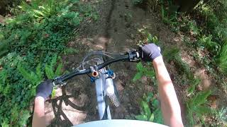 Mint Condition MTB Trail - Rochester park
