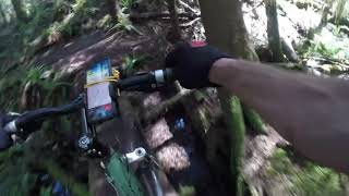 Mystery Trail fail. missed the upper bridge...