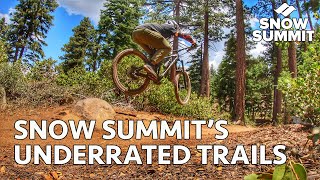 Sometimes the Best Trails Aren't Jump Lines