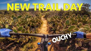 Avoiding Cactus Gardens in Laguna &...