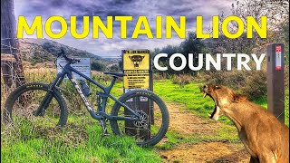 Mountain Lions & Whiting Ranch's MTB Loop...