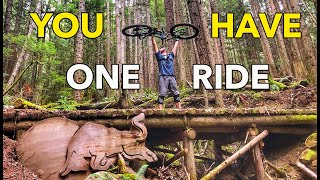 Squamish's Most Popular Trail: Half Nelson |...