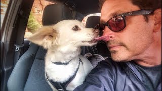 Pupper Pip Update & Utah MTB road trip...