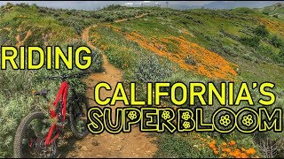 Riding The Chino Hills Super Bloom | Mountain...