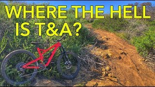 Is One of Laguna Beach's Best Trails THAT Hard...