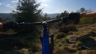 The most scenic trail in the Tweed Valley?