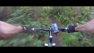 West Wildwood - Bowser Trails