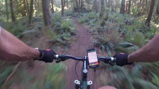Nile Trail 90 second summary