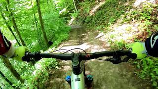 Lägern Snaketrail