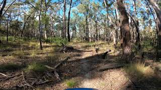 Skull Track - Track 3 Nowa Nowa MTB Park
