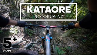 KING OF THE ROOTS - Kataore Mountain Bike...