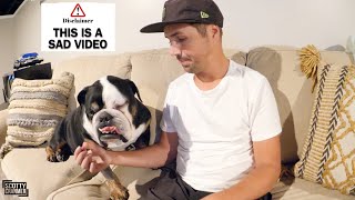My English Bulldog Has A Life Threatening...