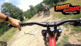 Downhill MTB And Snakes Don't Mix!