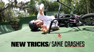 Teaching Big Boy An Impressive New Trick On...
