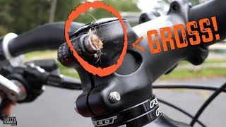 The Most DISGUSTING Video Ever!