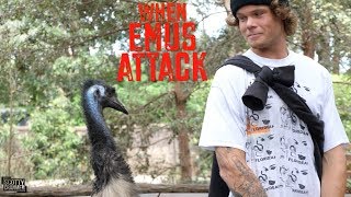 Big Boy vs. Emu - Last Day In Australia!