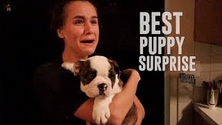 The Cutest Puppy Surprise Ever!