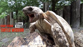 SAYING GOODBYE TO MY TURTLES! EPIC ADVENTURE PT. 1