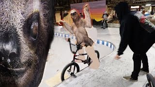 RIDING PENN SKATEPARK!