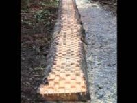Templeton Tangle mountain bike trail build, Dundee