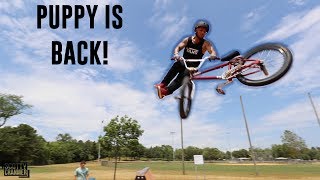 PUPPY ARMS IS BACK IN THE SKATEPARK!