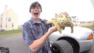 HOW TO LOSE YOUR CAR KEYS!