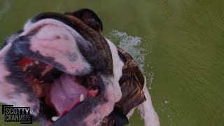 CRAZIEST DRONE CRASH EVER!