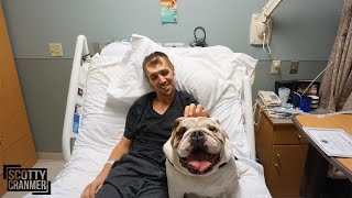 SCOTTY'S BULLDOG SURPRISE!