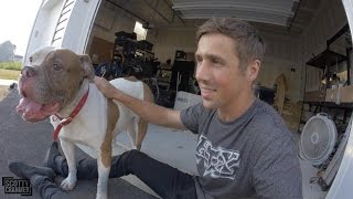 I SAVED A DOG!