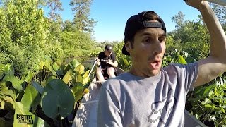 I DON'T WANT ZIKA DUDE!