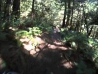 Dog Mountain Crash
