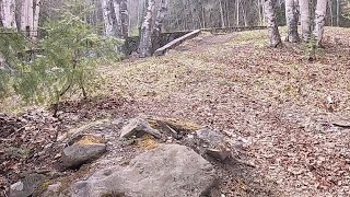 Ginters Meadow and techy DH
